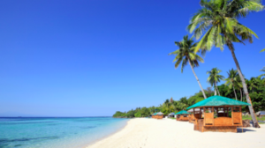 The best beaches you need to check out when you're in Cebu | Cebu Finest