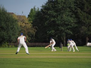 Cultural Sports in India: Types of Cricket Bets and How to do Them | Cebu Finest