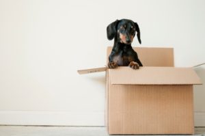 Do’s And Don’ts When Moving With Your Furniture To A New Home | Cebu Finest