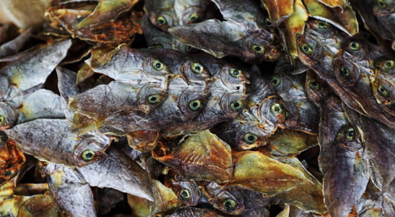 Danggit, or dried rabbitfish, is often one of the best breakfasts served in a Filipino household. | CebuFinest