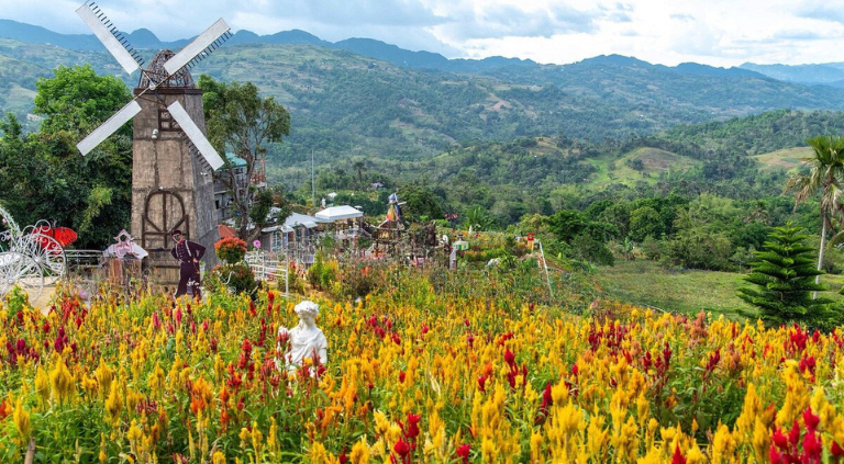 The Sirao Flower Farm is a vibrant spectacle of colorful blooms. | CebuFinest